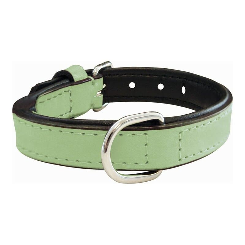 Collier pour Chien Gloria Rembourré Vert (30 x 1,5 cm) - Image 1