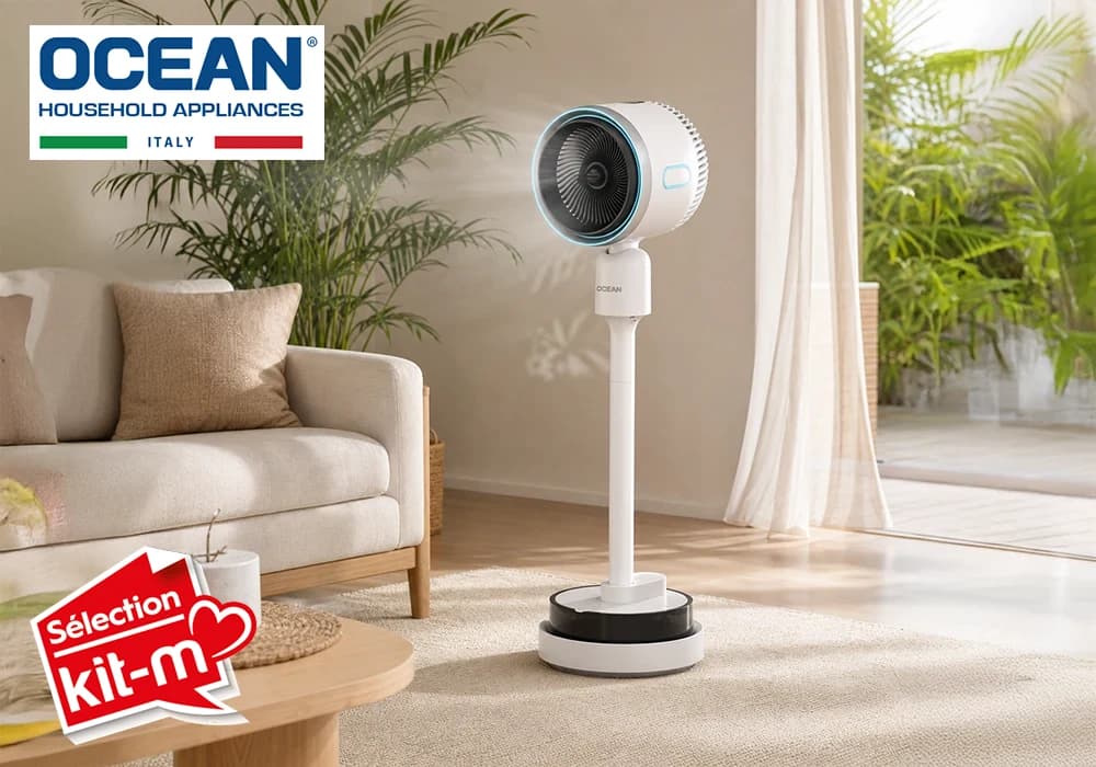 Ventilateur Brumisateur Chaud & Froid sur Pied Ocean (OCMFH214DRCP)